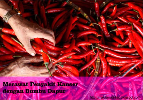 Obati Penyakit Kanker dengan Bumbu Dapur